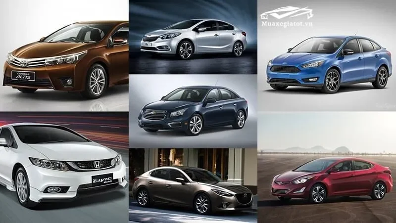 C2 là gì: Tổng quan và Ý Nghĩa Trong Các Lĩnh Vực